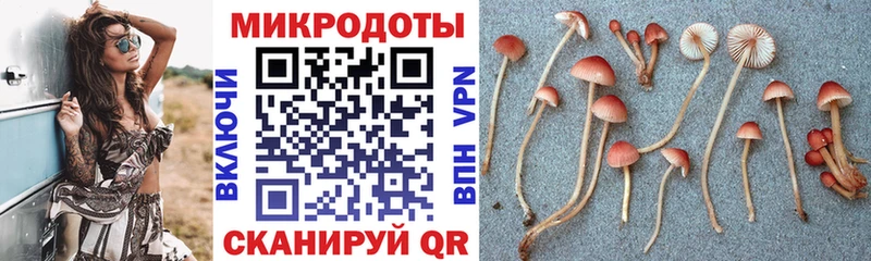 Галлюциногенные грибы прущие грибы  гидра tor  Яровое 