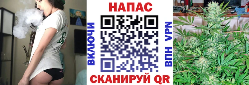 Бошки Шишки сатива  наркота  Яровое 